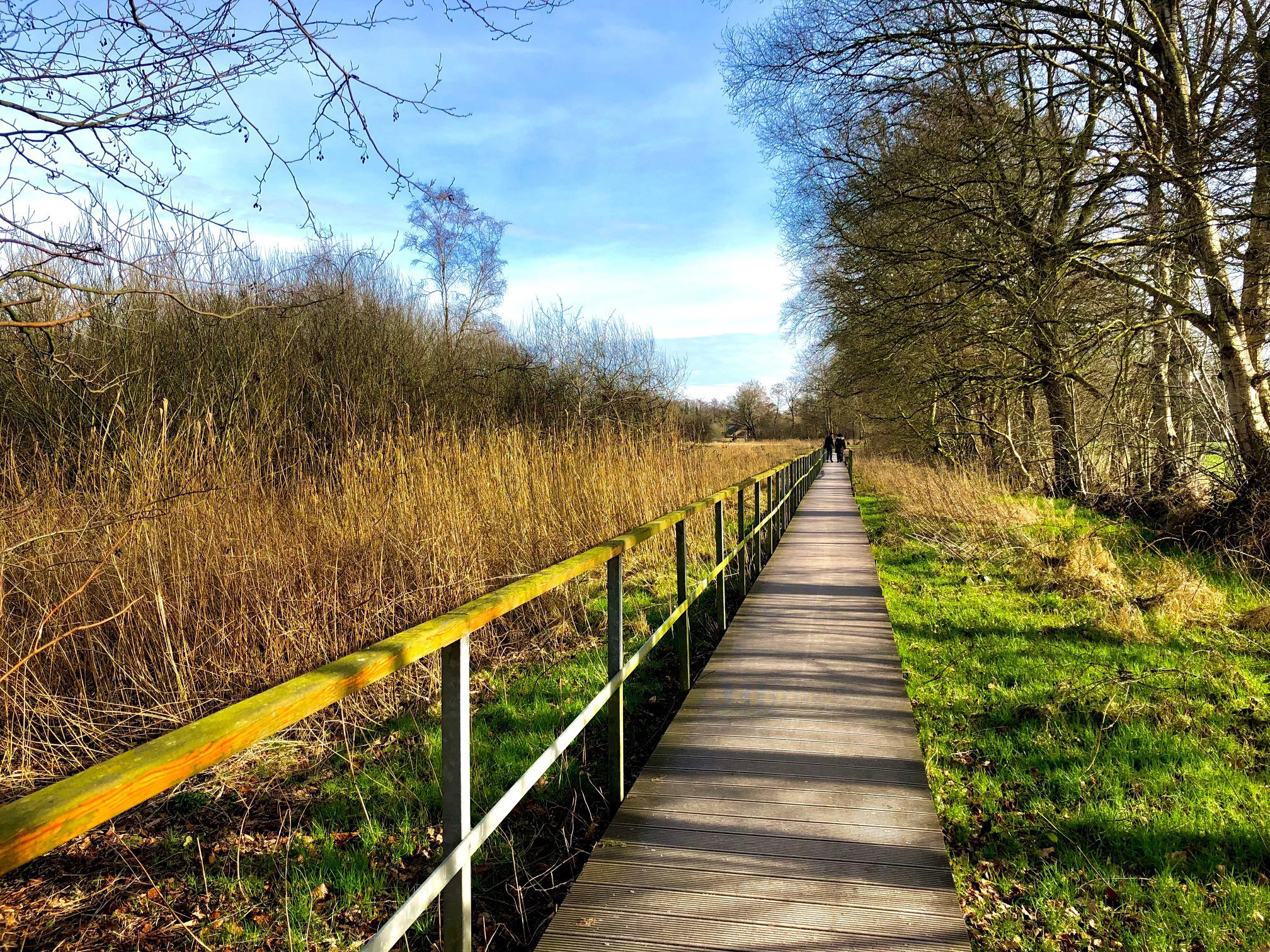 Haarenniederung Naturschutzgebiet in Oldenburg